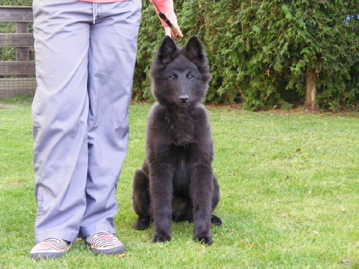 Aisha van de Woestenhoeve, Okt.2008