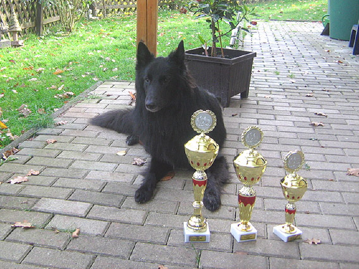 Asco Sieger von Hannover 02.Nov.2008