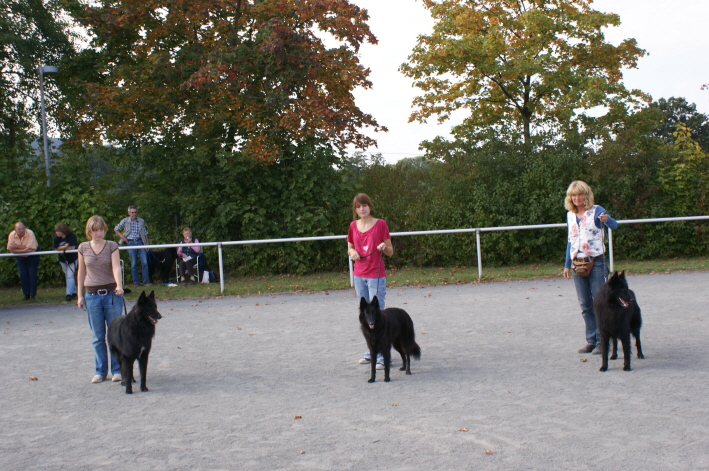 BSB Speziale  Sept, Zuchtgruppe vom Johannisbach