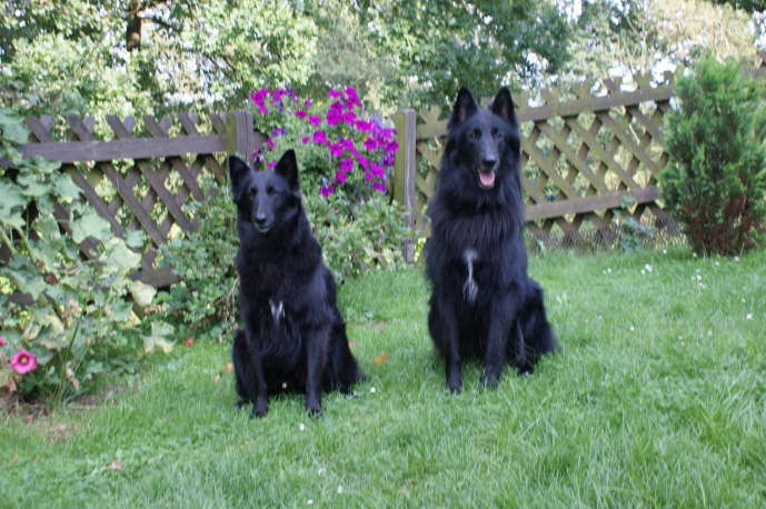 Asco mit Mama Karol-Iza Du Chemin  des Sorcieres