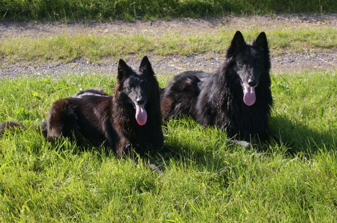 Aisha und Asco an der Fulda 