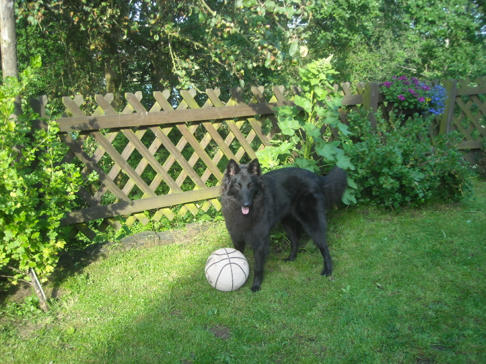Aisha mit ihrem Lieblingsball, 18.06.2009