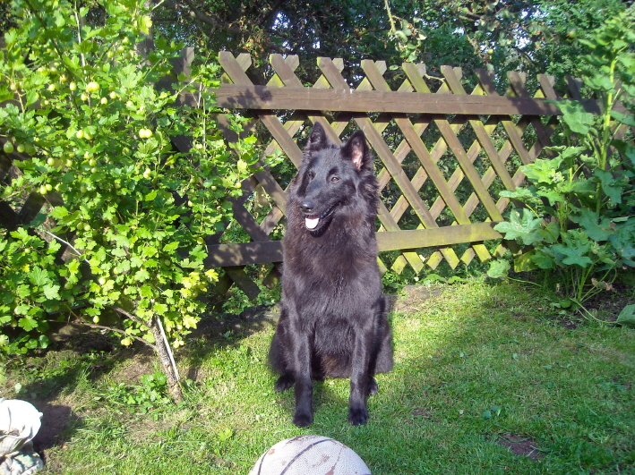 Aisha van de Woestenhoeve, 18.06.2009