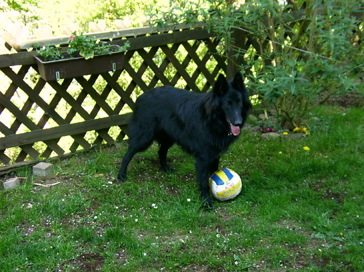 Asco beim Fuballtraining,04.2007