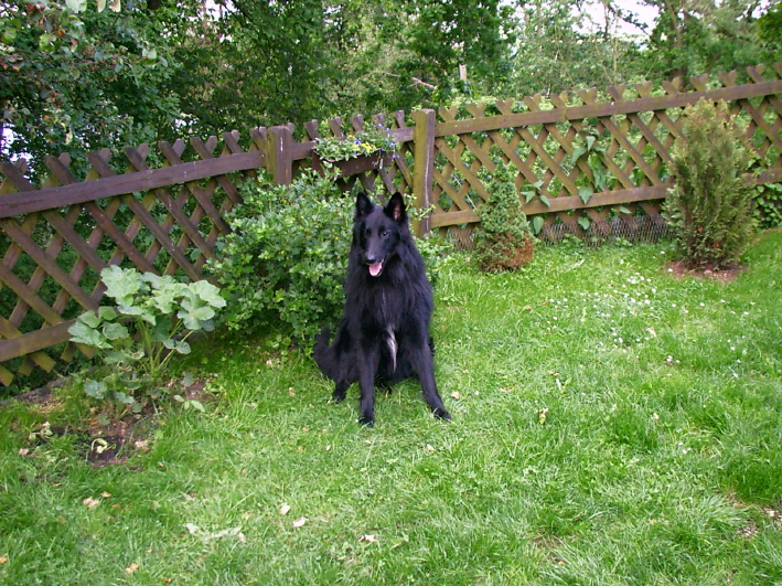 Asco nach Ausstellung in Erfurt