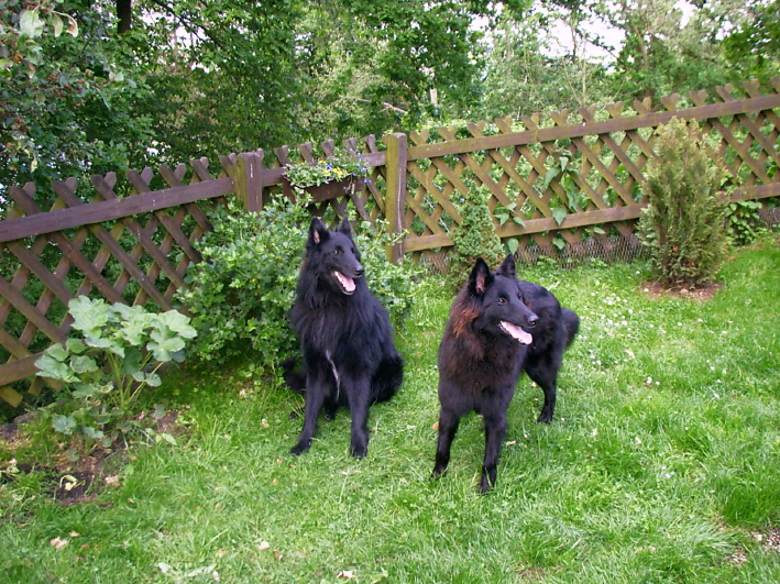 Asco und Aisha, Frhjahr 2009