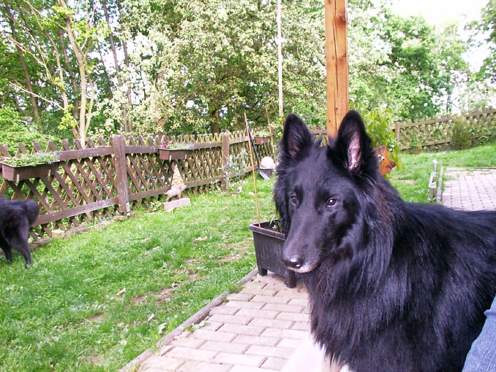 Ist es nicht ein Schner ?